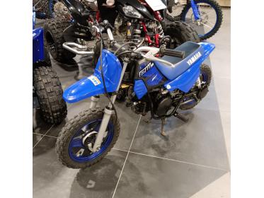 YAMAHA PW50
