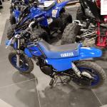 YAMAHA PW50